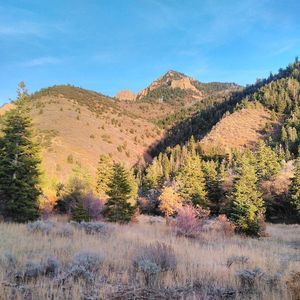 Meet your Posher, Keith